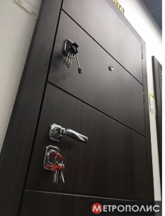 Металлическая дверь