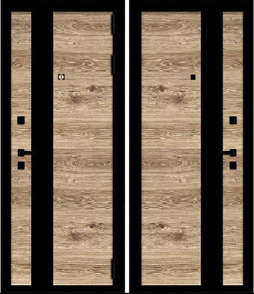 Дверь Бастион Техно Pro 17